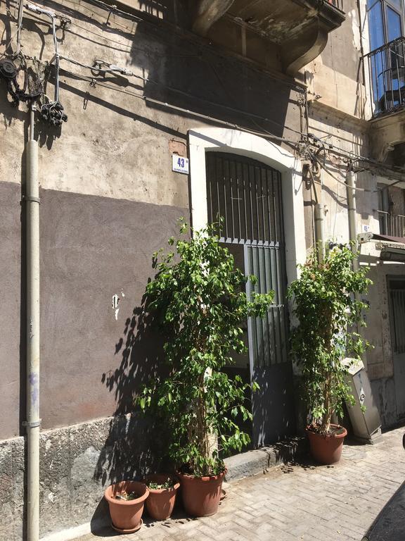 Casa Vacanza Civita Catania Centro Exteriér fotografie